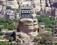 Agricultural land is being used for growing qat in Yemen