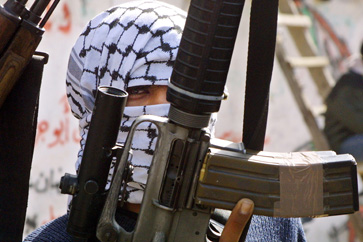 History of a Revolution - PLO