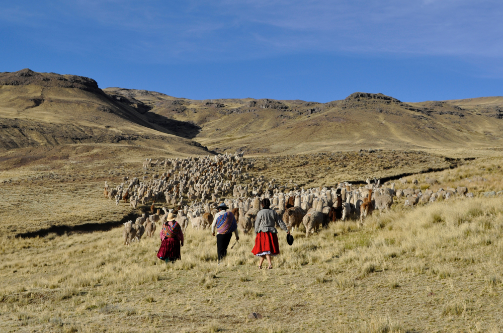 Witness Trouble at the Top of the World - Gallery
