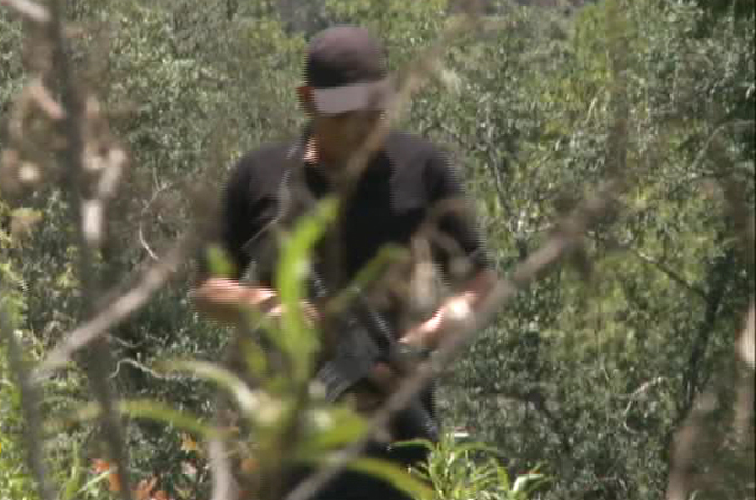 Mexico town residents take arms against loggers