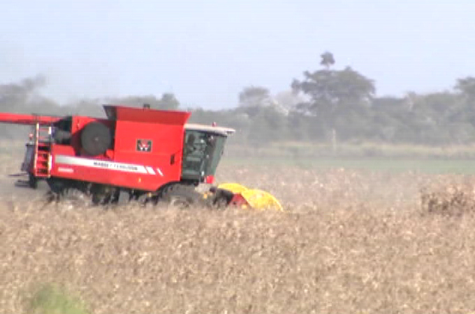 Argentinians await ruling on crop pesticides