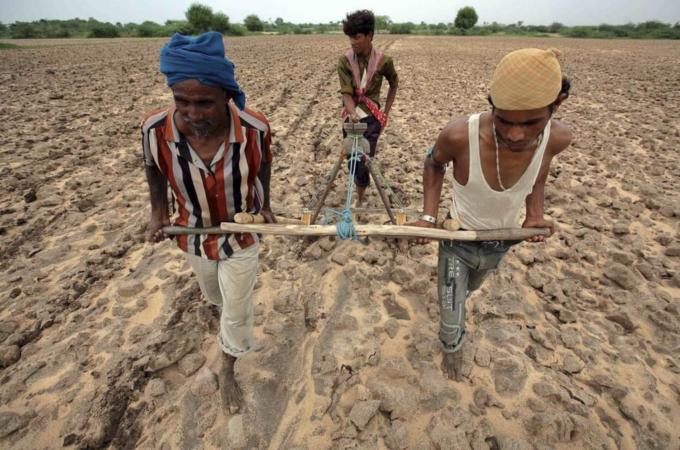 Farmers plough a field before sowing cotton seeds in Kayla village