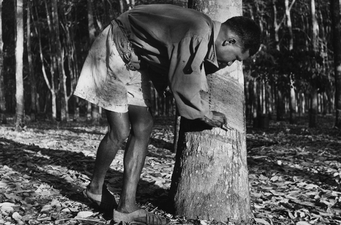 Rubber worker in Malaya