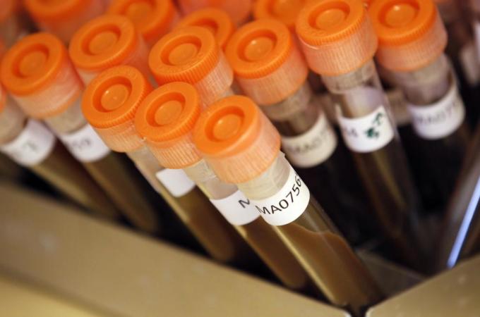 To match Special Report ANTIBIOTICS/