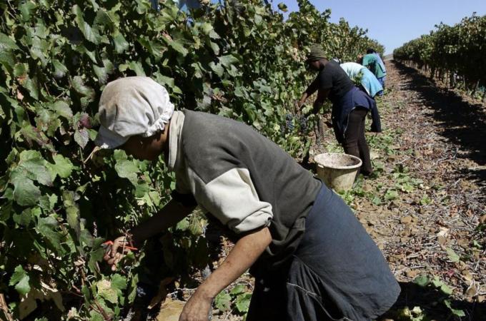 Ecosystem-based systems help farmers adapt to climate change and tackle issues like resource scarcity and ecological degradation [AFP]