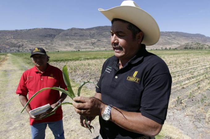 The Mexican countryside has suffered under the free trade agreement with the US [Reuters]