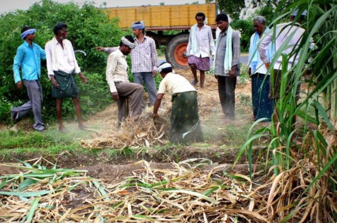 About half of farmers are willing to leave agriculture if alternative jobs appear [Tejaswini Pagadala/Al Jazeera]