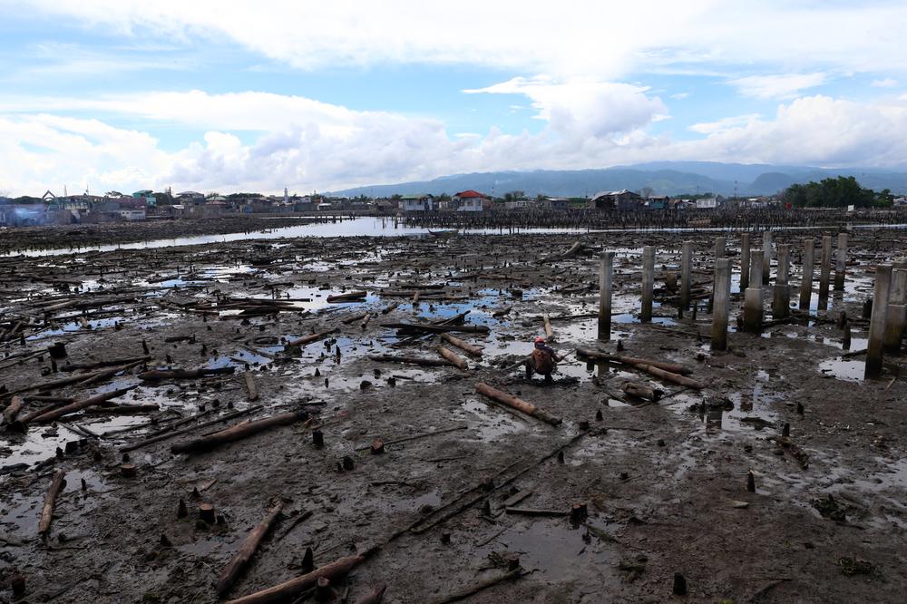 <p>A year after the fighting, the village of Mariki remains off limits for civilians.</p>