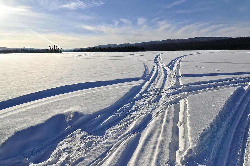 Competitors travel across the Yukon's frozen forests, lakes, and rivers.
