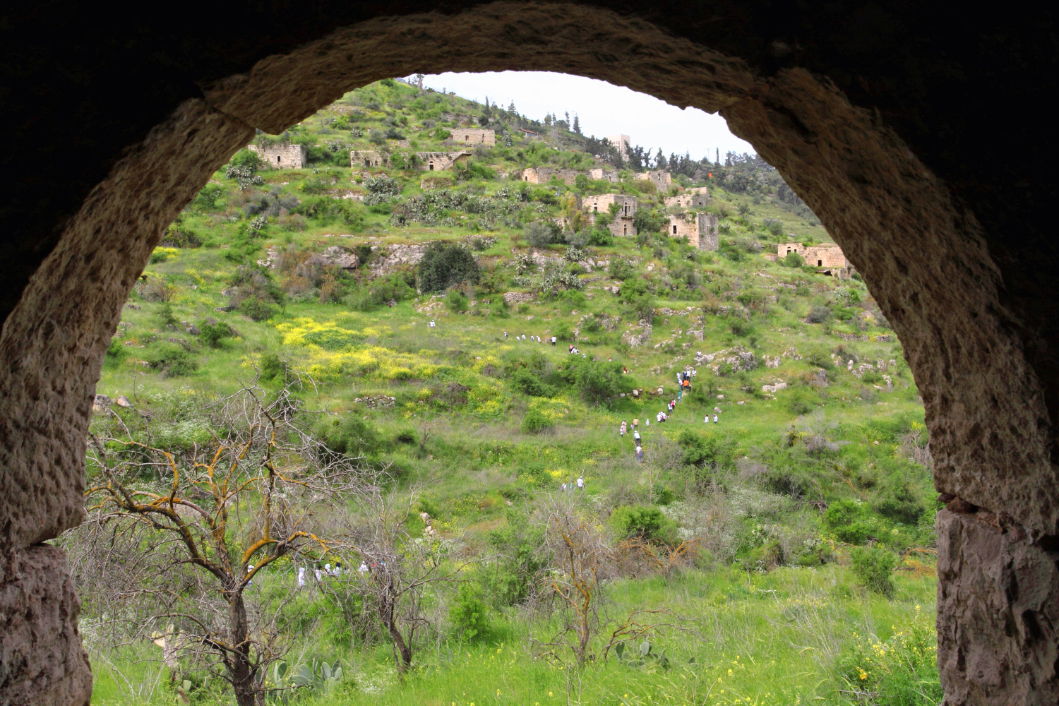 RESTRICTED DO NOT USE