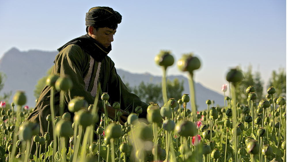 Afghanistan drugs
