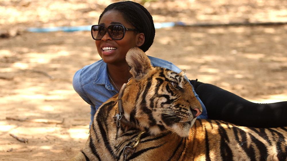 The Tiger Temple is one of Thailand's most popular tourist attractions but both the government and animal activists have criticised practises there [Oliver West/Al Jazeera]