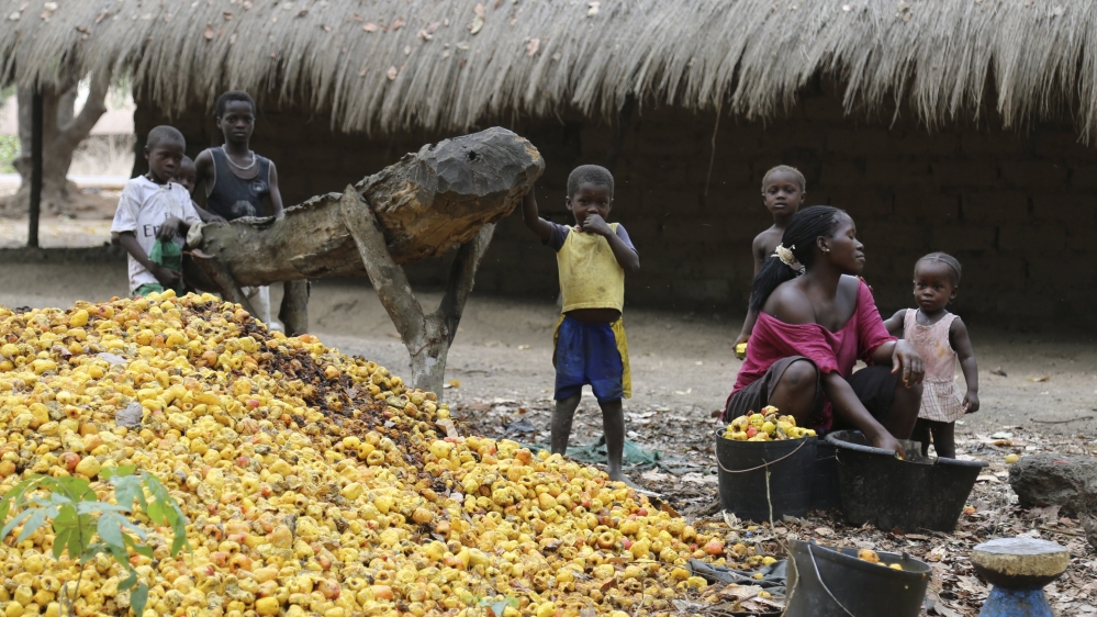 A woman sorts through a pile of cashew nuts as children look on next to a farm owned by former Guinea Bissau army chief General Antonio Indjai outside Mansoa