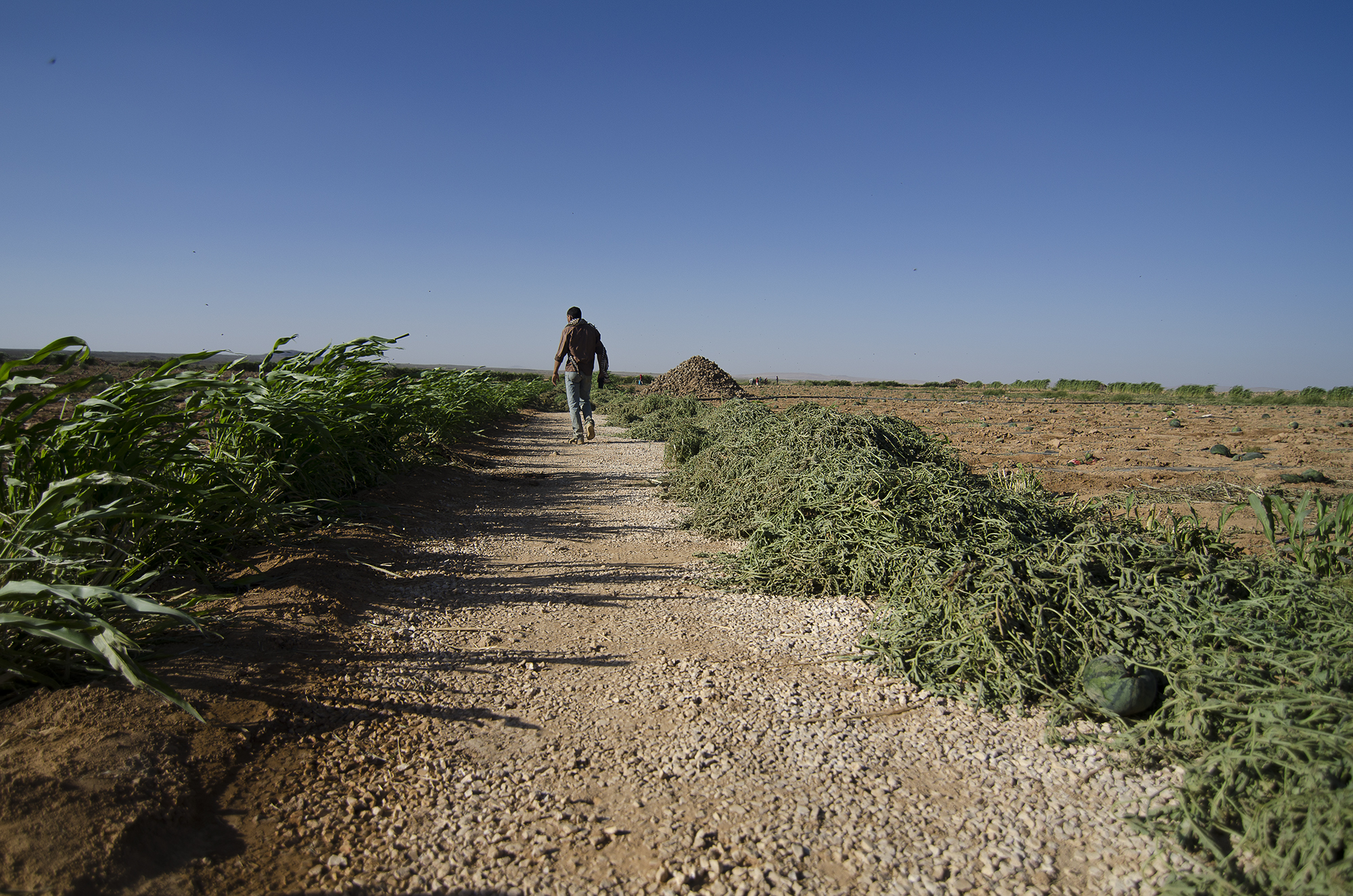 Syrian beduin refugees/ DO NOT USE/ RESTRICTED