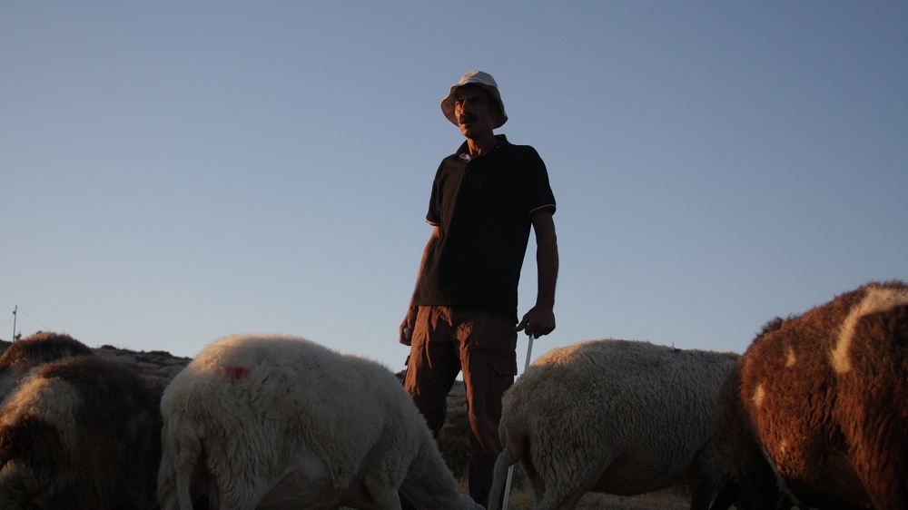 Azzam Nawajaa, a Palestinian shepherd living in Khirbet Susiya, says he is worried about his family and his home [Ylenia Gostoli/Al Jazeera]