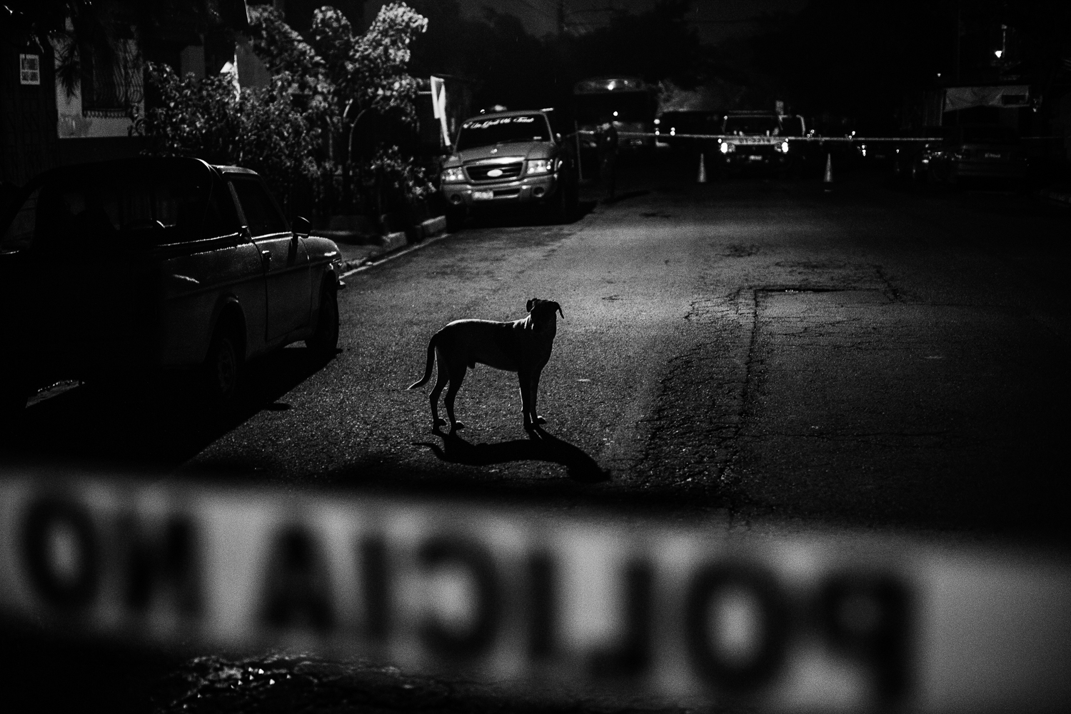 Manu Brabo/ DO NOT USE/ RESTRICTED