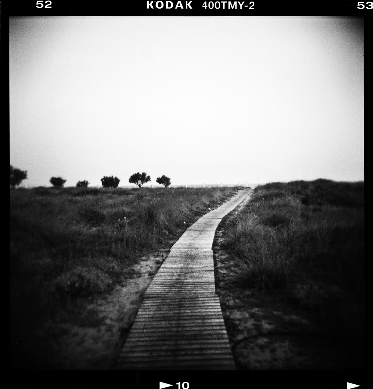 A path used by refugees who arrive on Lambi beach on the Greek island of Kos – Kos, Greece, August 2015 [Giorgos Moutafis]