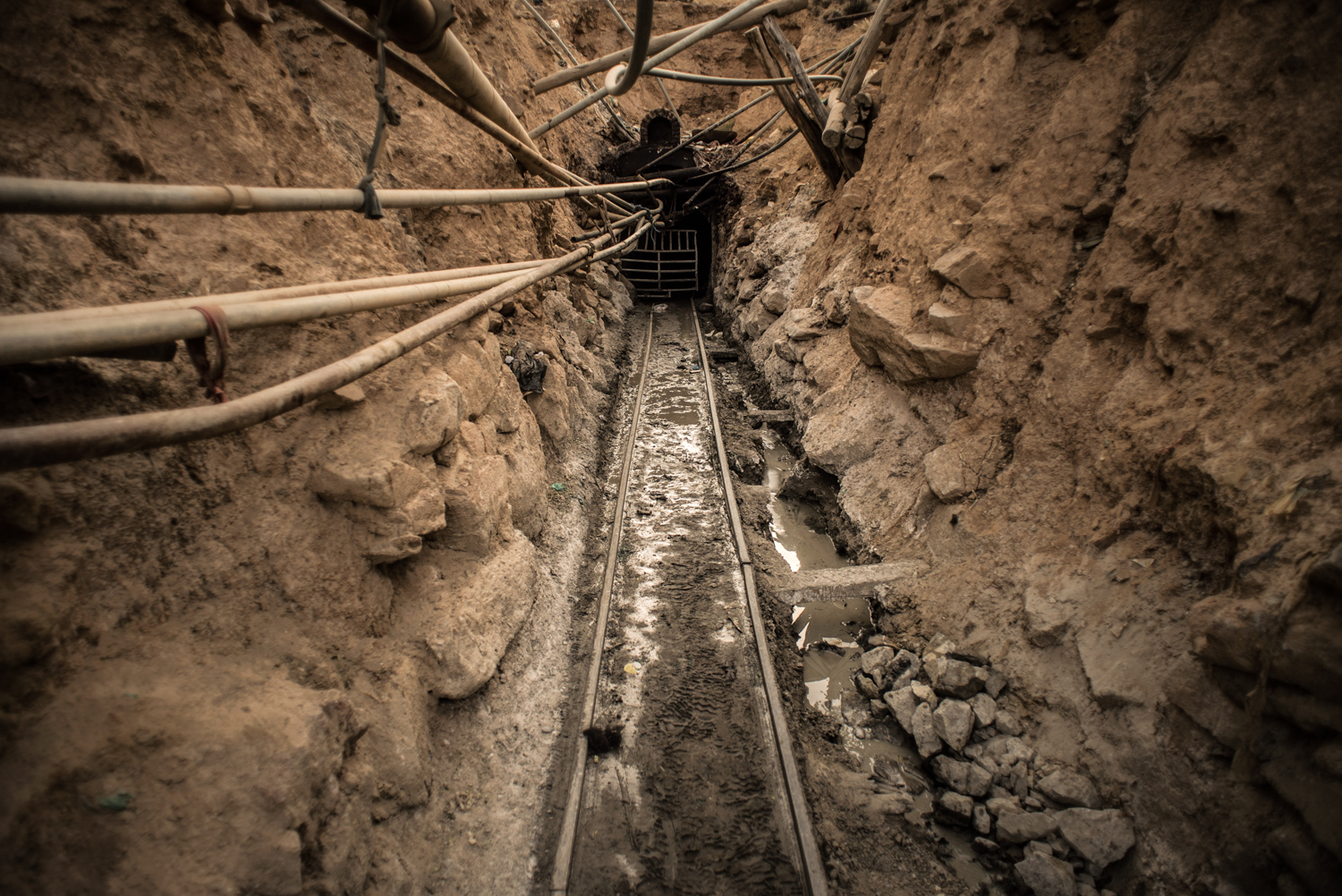 Birilis / DO NOT USE / RESTRICTED