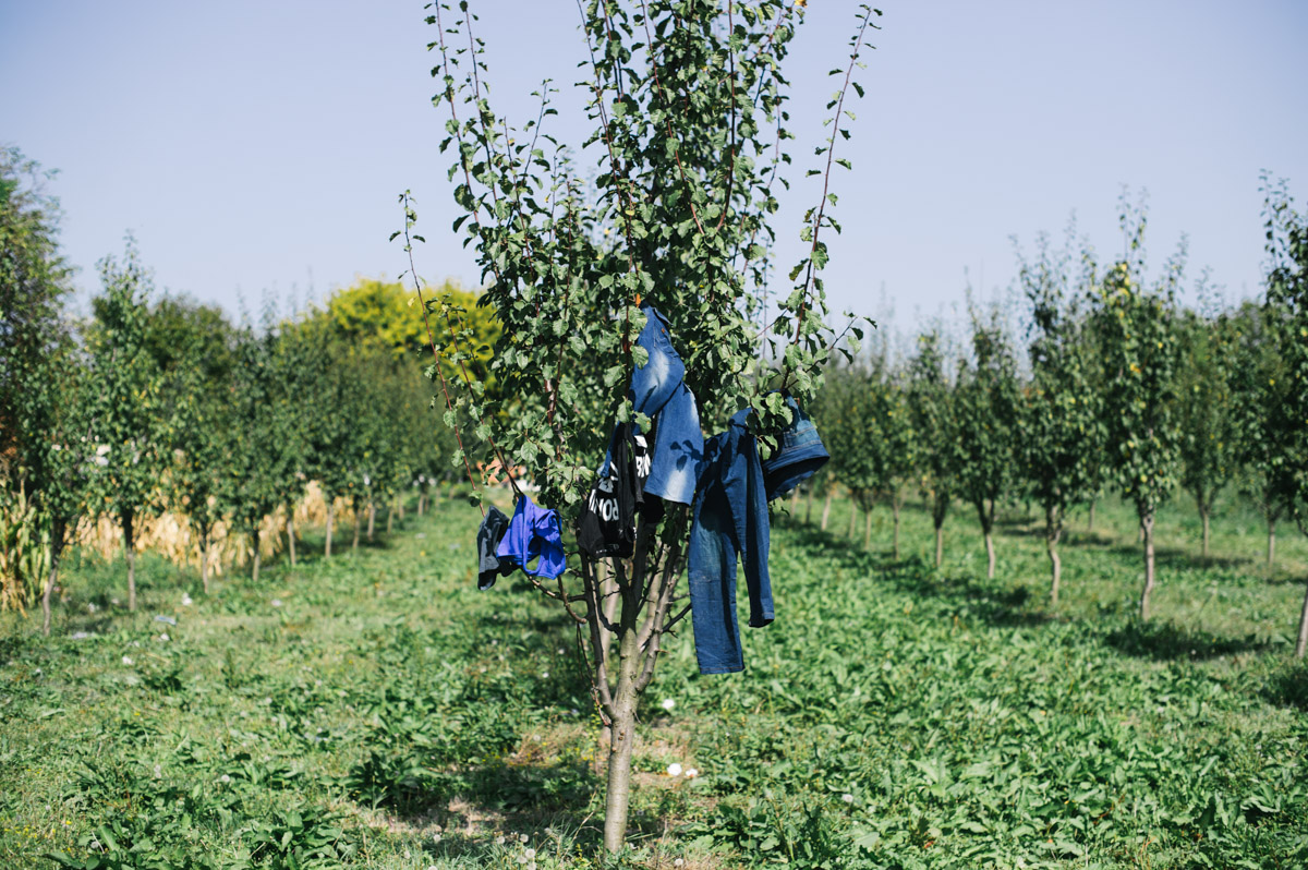 Phil Moore/ DO NOT USE/ ALJAZEERA