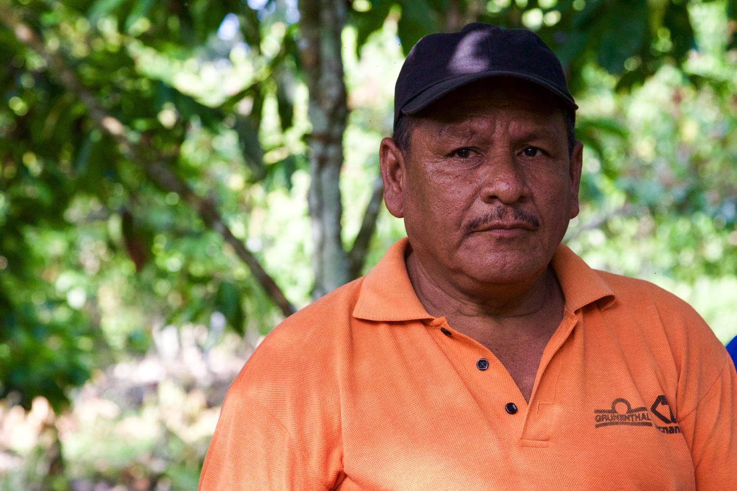 Chevron/ DO NOT USE/ RESTRICTED