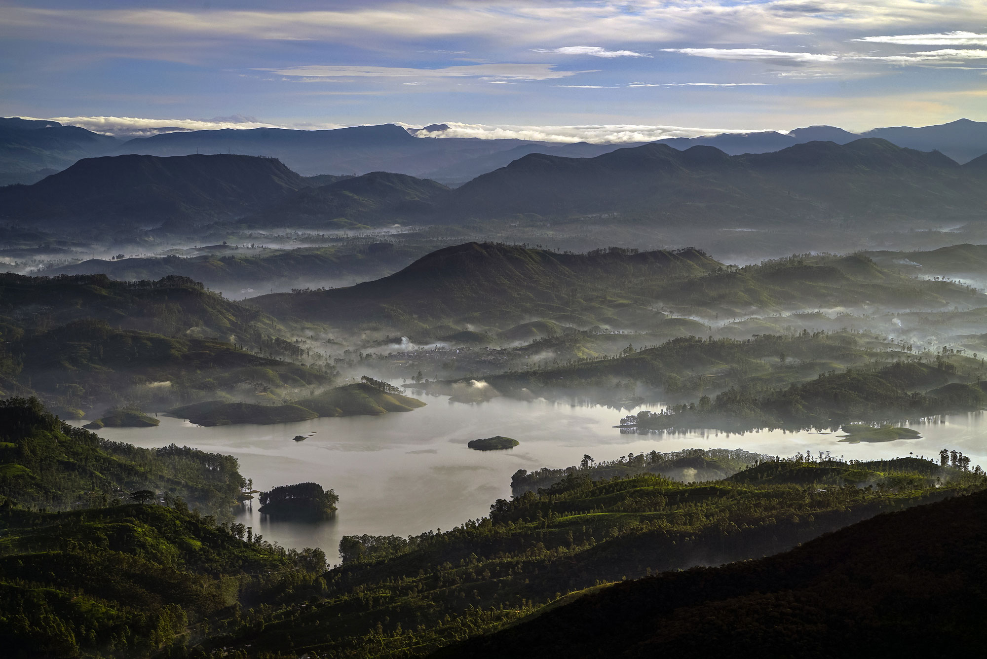 Tracing the origins of the world’s most popular beverage.[Sorin Furcoi/Al Jazeera]
