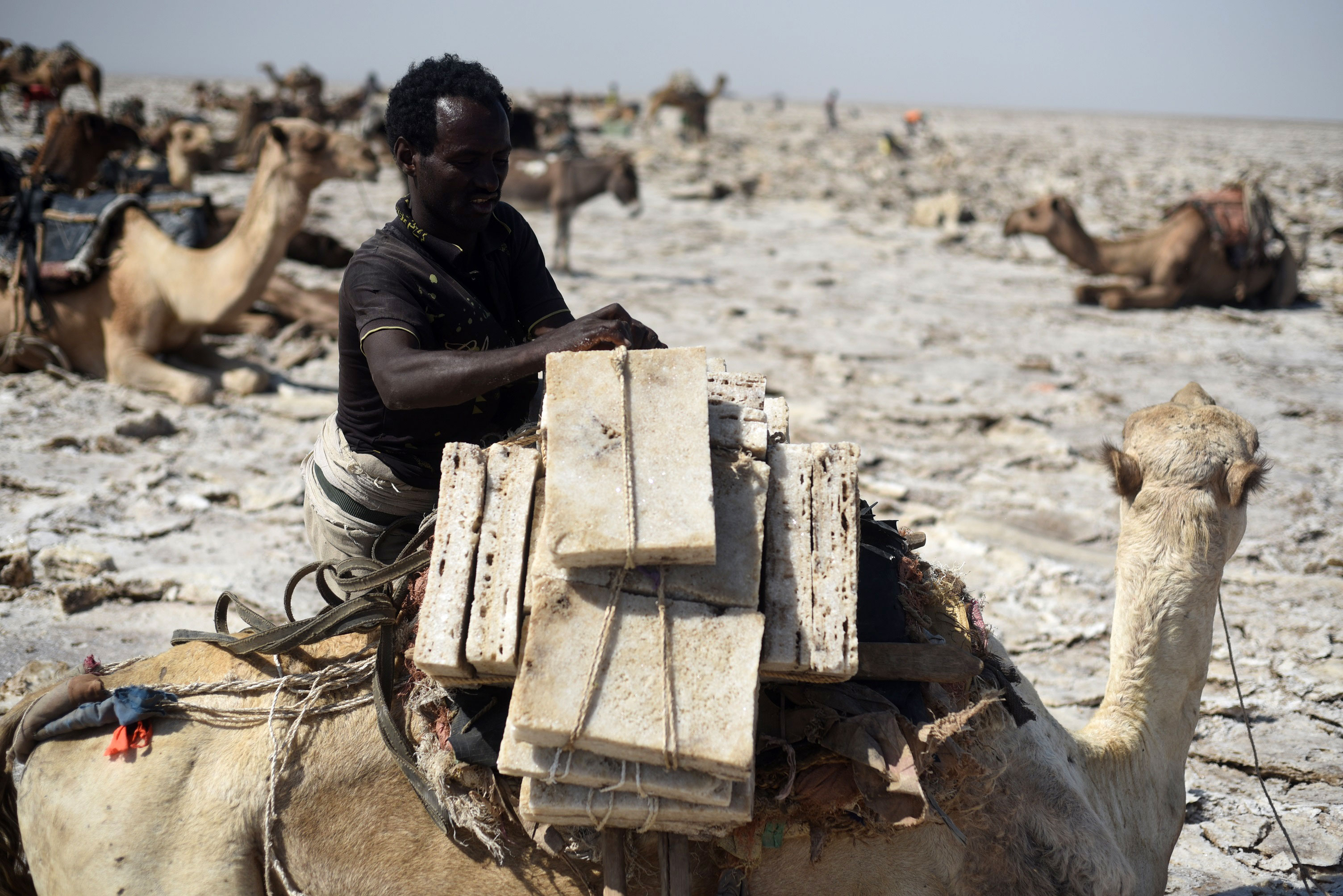 Ethiopian salt mines and camel caravans/Please Do Not Use