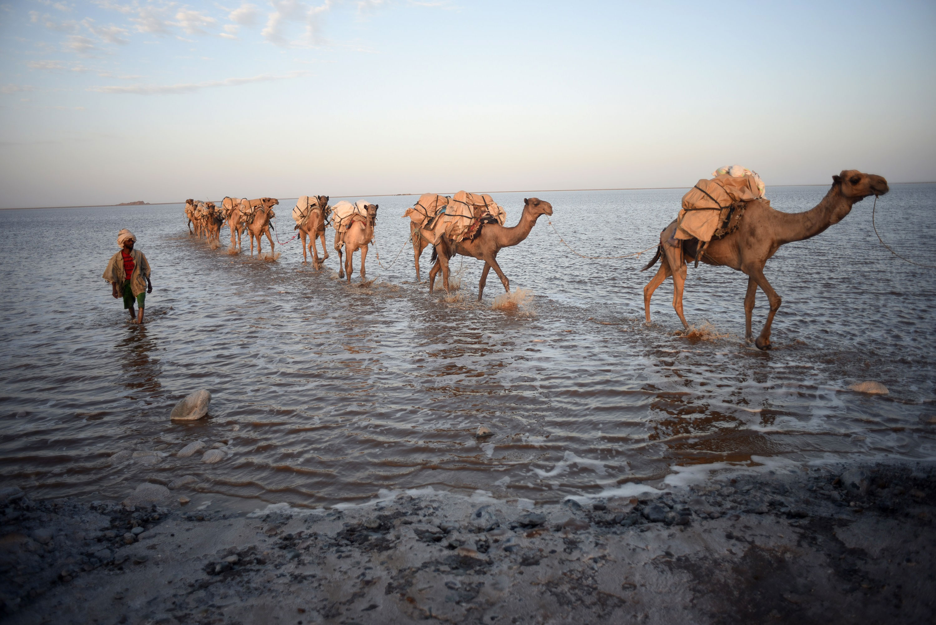 Ethiopian salt mines and camel caravans/Please Do Not Use
