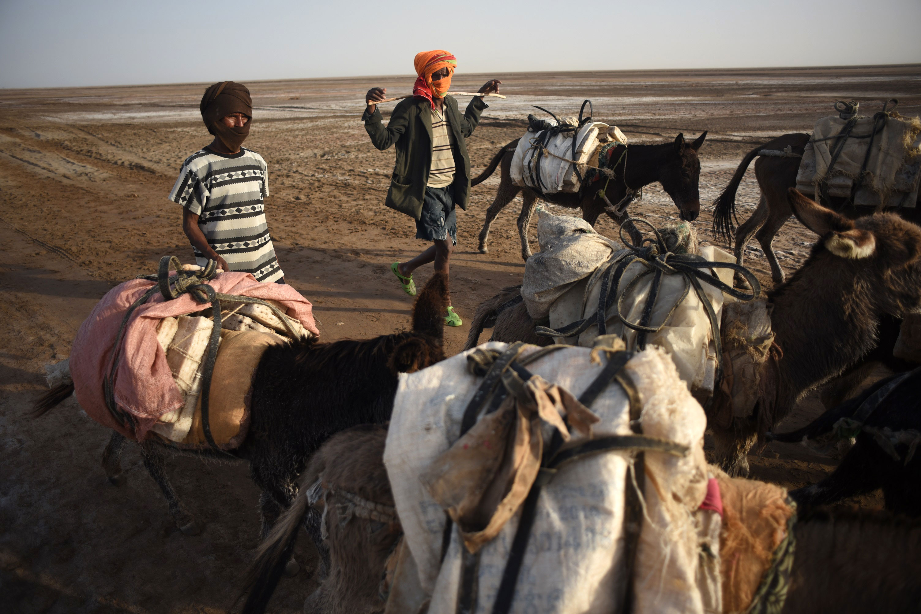 Ethiopian salt mines and camel caravans/Please Do Not Use