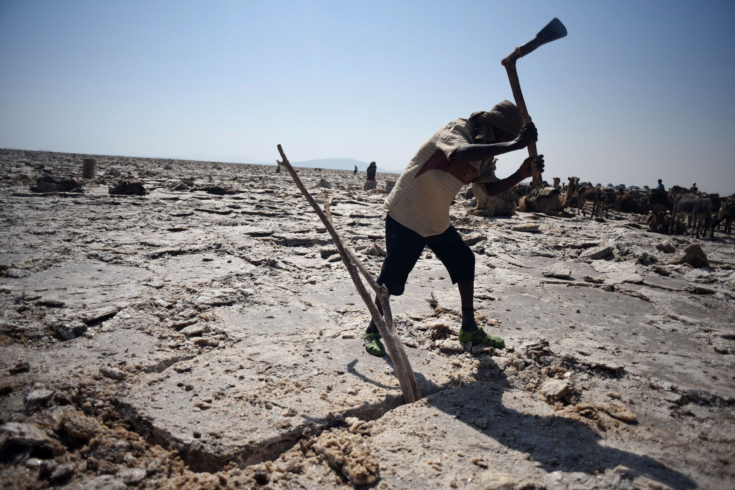 Ethiopian salt mines and camel caravans/Please Do Not Use