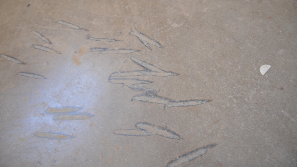 In the hallways of Old Main, hatchet marks and burns are still visible on the ground where two inmates were killed during the 1980 riot [Gabriela Campos/Al Jazeera]