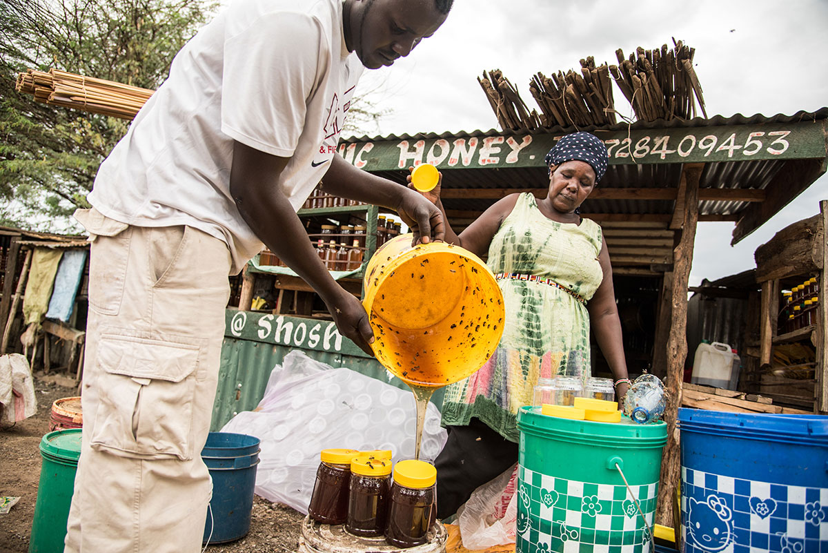 Dripping Gold: On the Hunt for Honey in Kenya/ Please Do Not Use