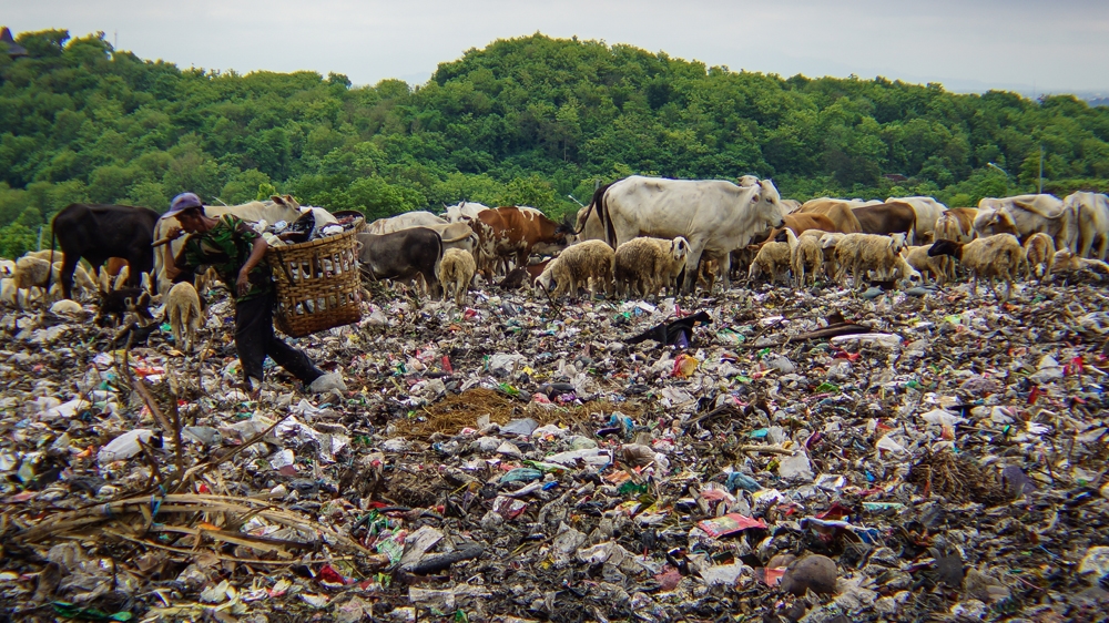  People may gather and exchange recyclable waste for cash through a government-promoted network of 'trash banks' [Brent Clues/Al Jazeera] 