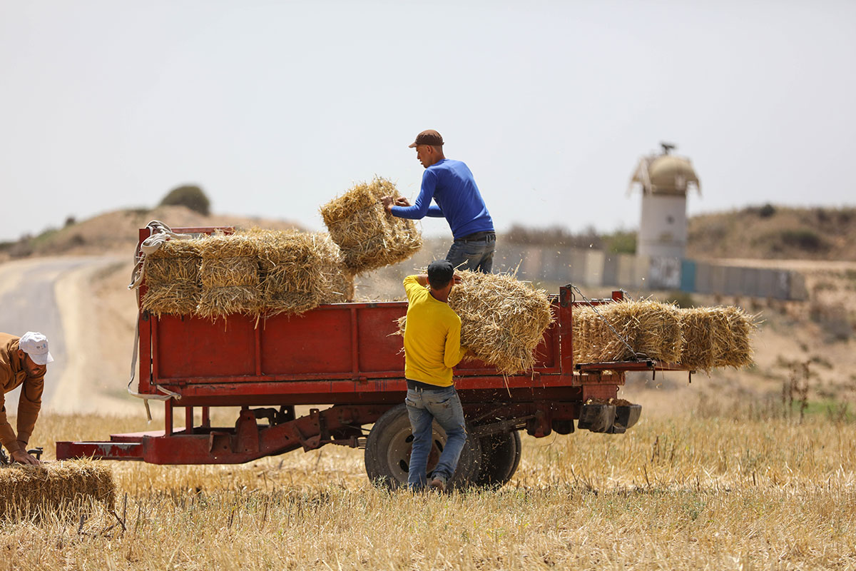 Gaza farmers working on borders with Israel/ Please Do Not Use