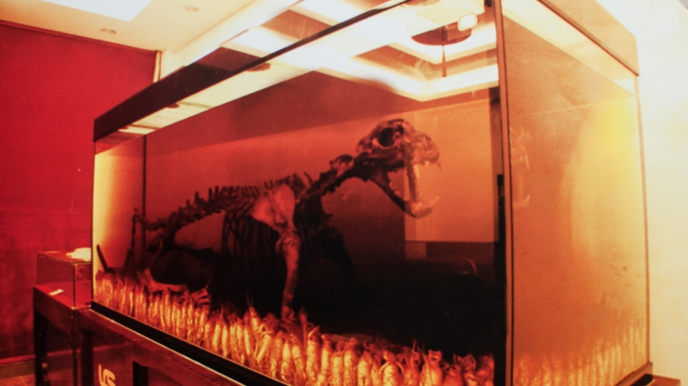 An advertisement for Hu Gu Jiu, or tiger-bone wine, in a promotional brochure for the Golden Triangle Special Economic Zone [Sebastian Strangio/Al Jazeera]