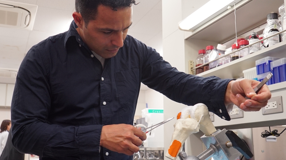 The Cure - Japanese Knees