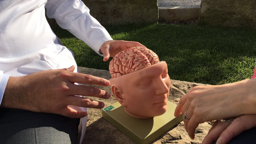 The Cure - Surgery without Scalpels