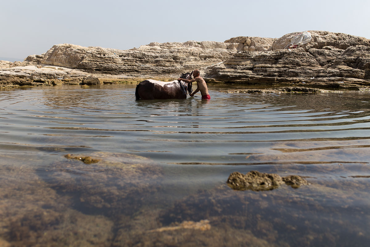 Keeping Al Dalieh, one of Beirut''s last public waterfronts/ Please Do Not Use
