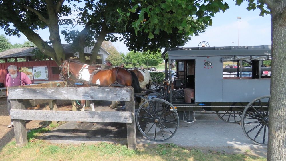 Aaron tends some of his horses at his business in the village of Bird in Hand, Lancaster County [Jessica Sarhan/Al Jazeera]