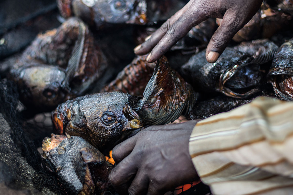 Fishing in Lake Chad/ Please Do Not Use