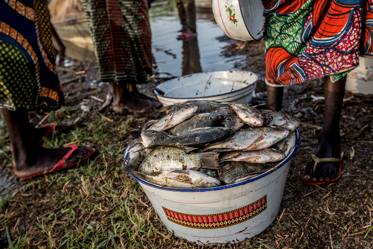 Fishing in Lake Chad/ Please Do Not Use