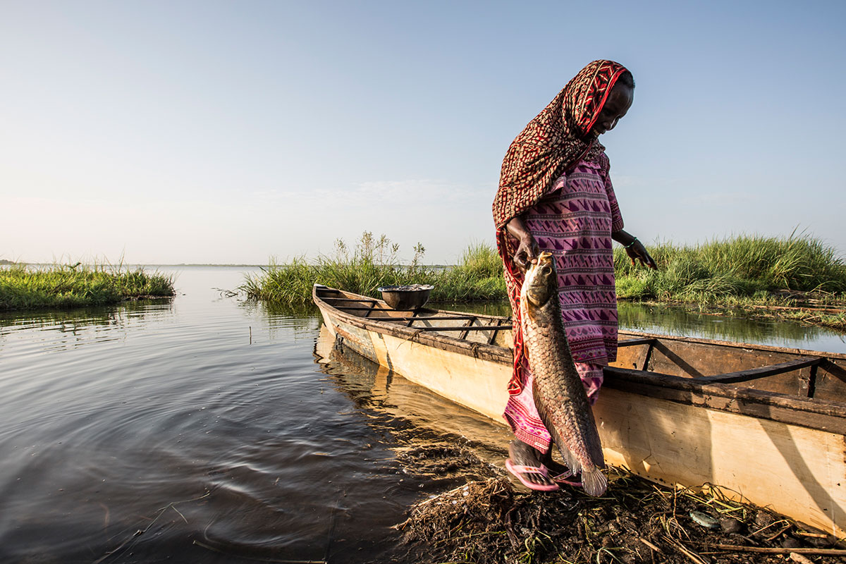 Fishing in Lake Chad/ Please Do Not Use
