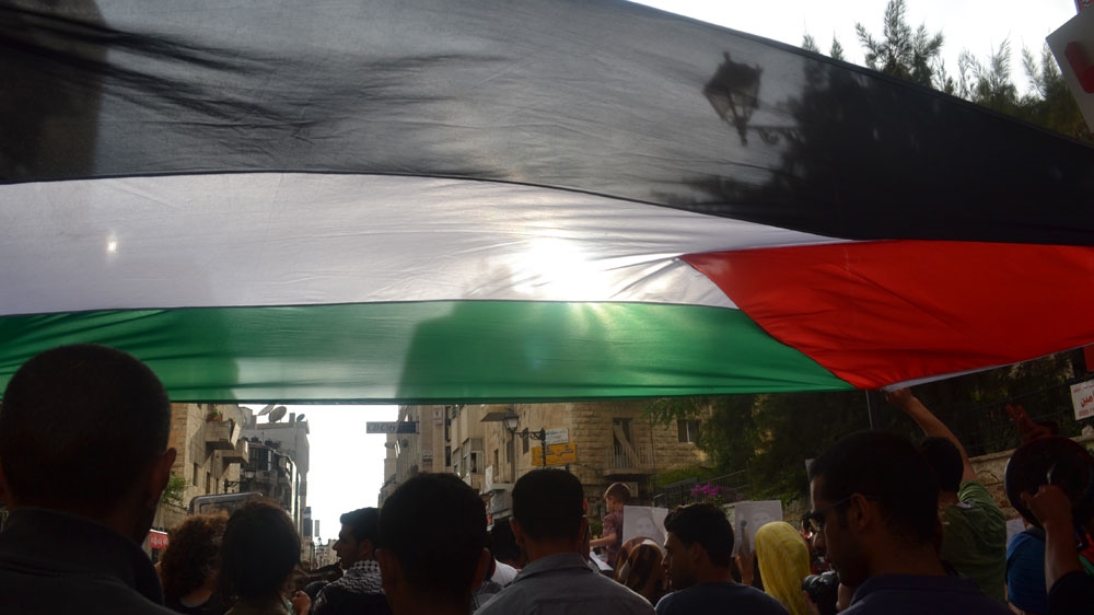 Eoin Wilson, solidarity with Palestine