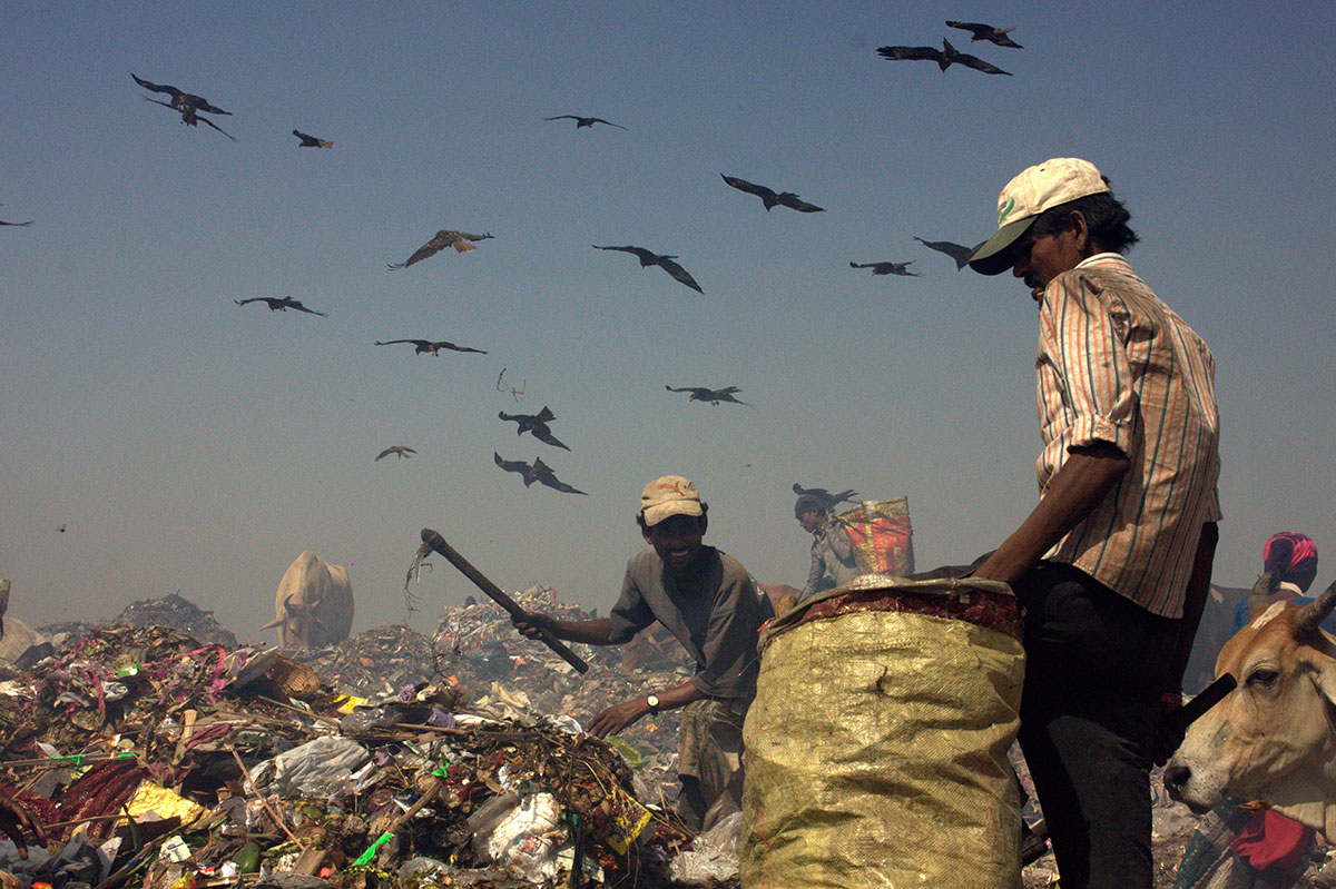 Dumpyard India / Please Do Not Use
