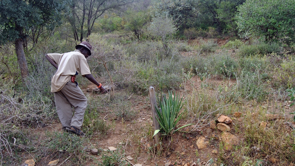 Arap Chebon Lochumunyang' points to the grave of his eldest son Elijah Nasrot. The 35-year-old was killed during a cattle raid on their village of Sinoni in March 2015 [Anthony Langat/Al Jazeera] 