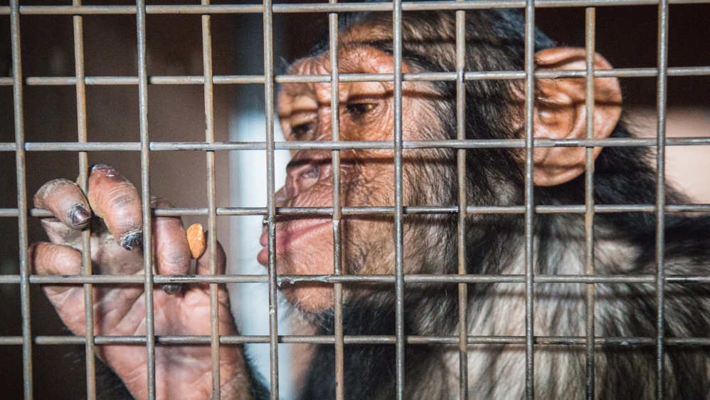 Mano - Please do not use