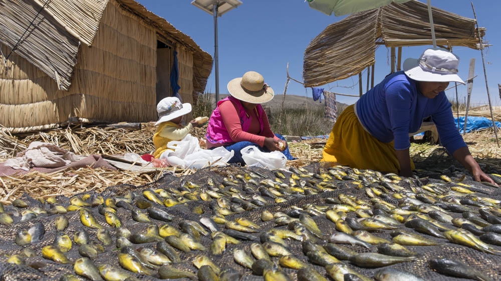 Peru - Please do not use