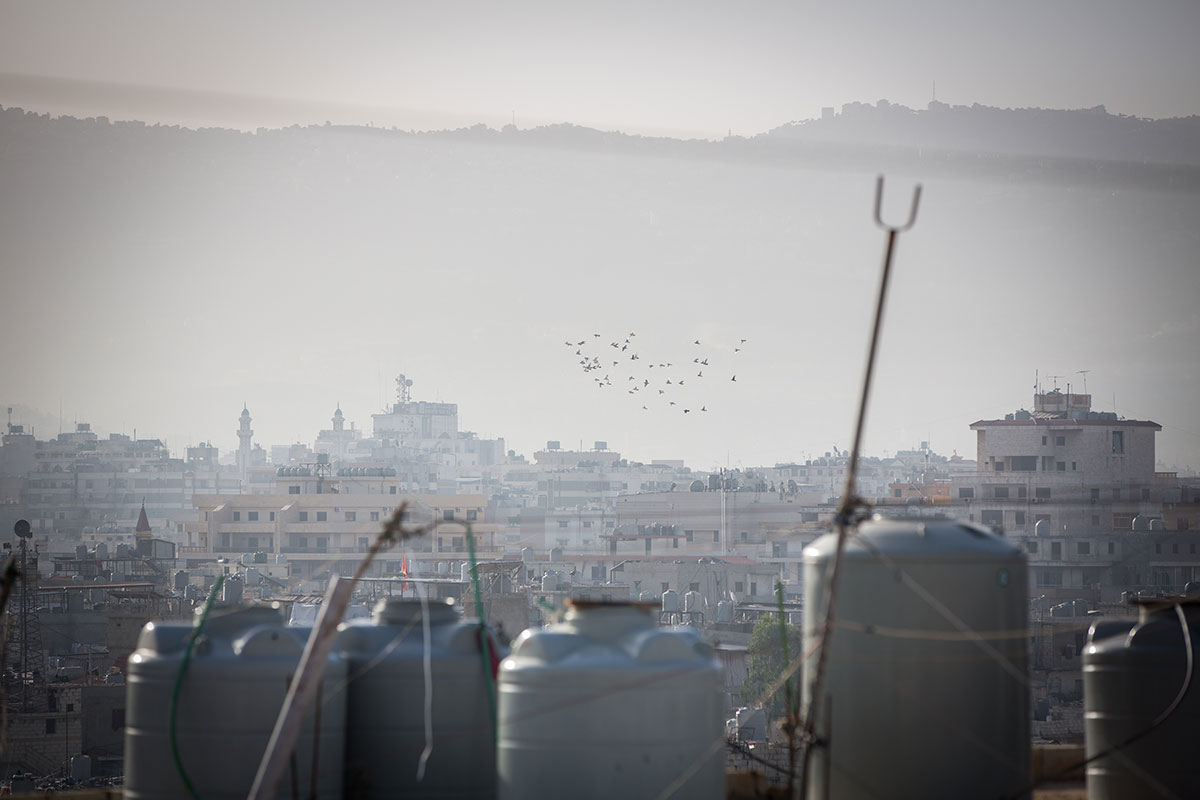 The Dom of Lebanon/ Please Do Not Use