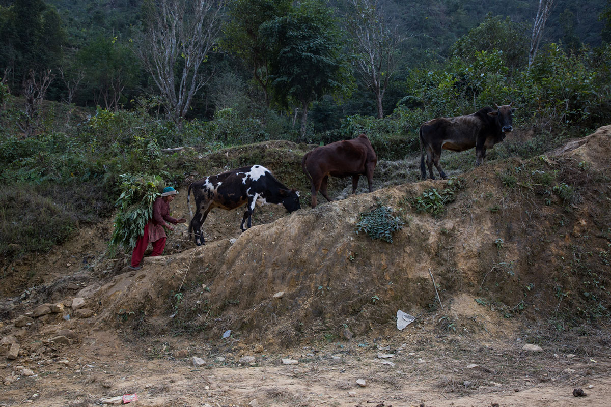 Rebuilding rural Nepal/ Please Do Not Use