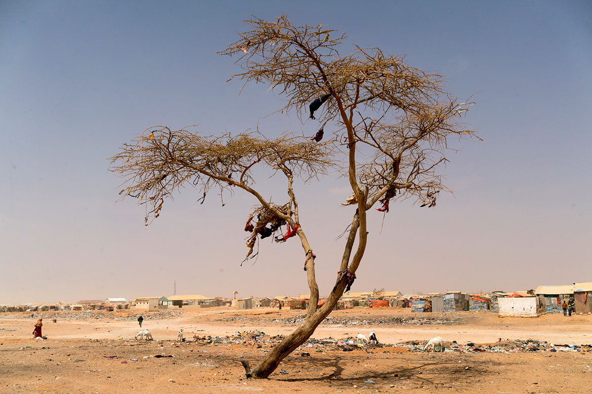 The Fight to Survive in Somalia/ Please Do Not Use