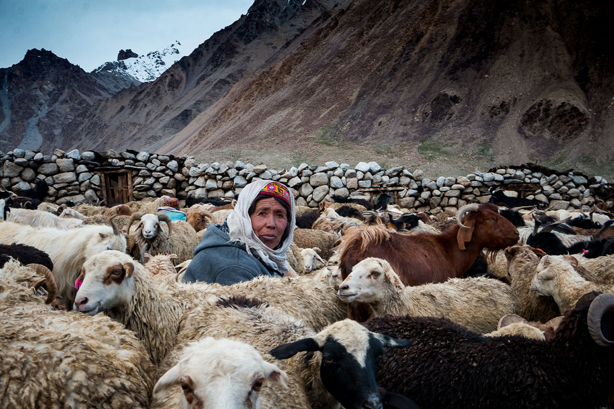 The last shepherdesses of Pamir, Pakistan/ Please DO Not Use